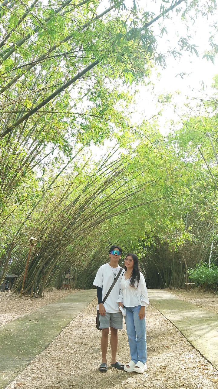 Bamboo 13